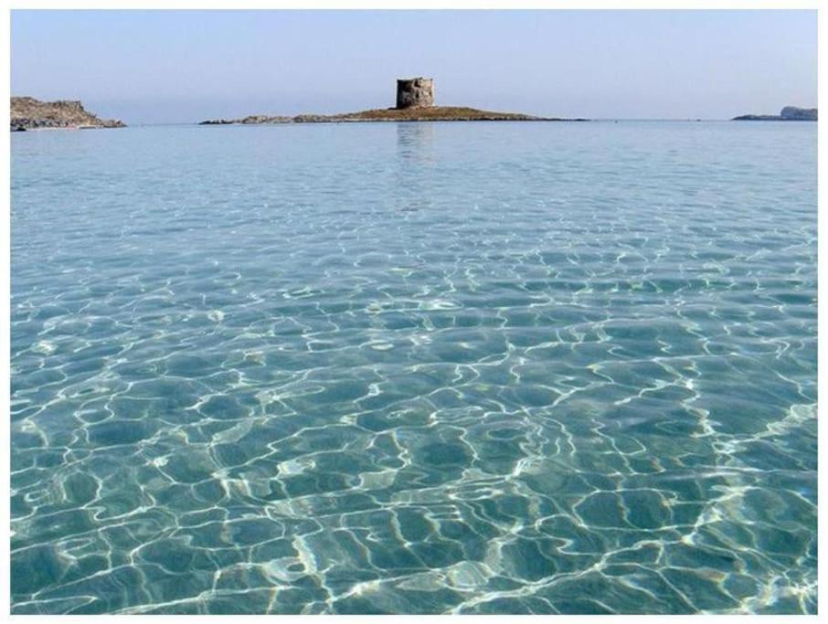 斯廷蒂诺L' Elicriso, A Pochi Passi Dal Mare Con Giardino Privato - The Elicriso, A Few Meters From The Sea, With Private Garden公寓 外观 照片