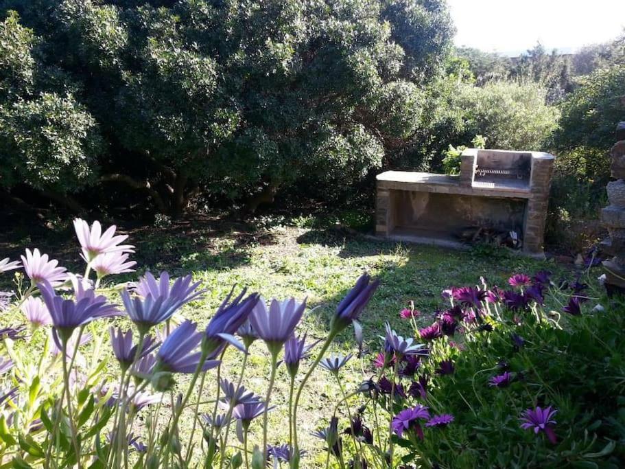 斯廷蒂诺L' Elicriso, A Pochi Passi Dal Mare Con Giardino Privato - The Elicriso, A Few Meters From The Sea, With Private Garden公寓 外观 照片