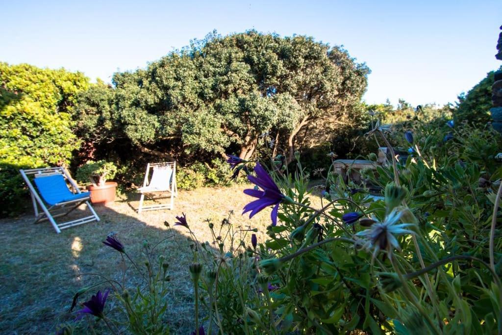 斯廷蒂诺L' Elicriso, A Pochi Passi Dal Mare Con Giardino Privato - The Elicriso, A Few Meters From The Sea, With Private Garden公寓 外观 照片