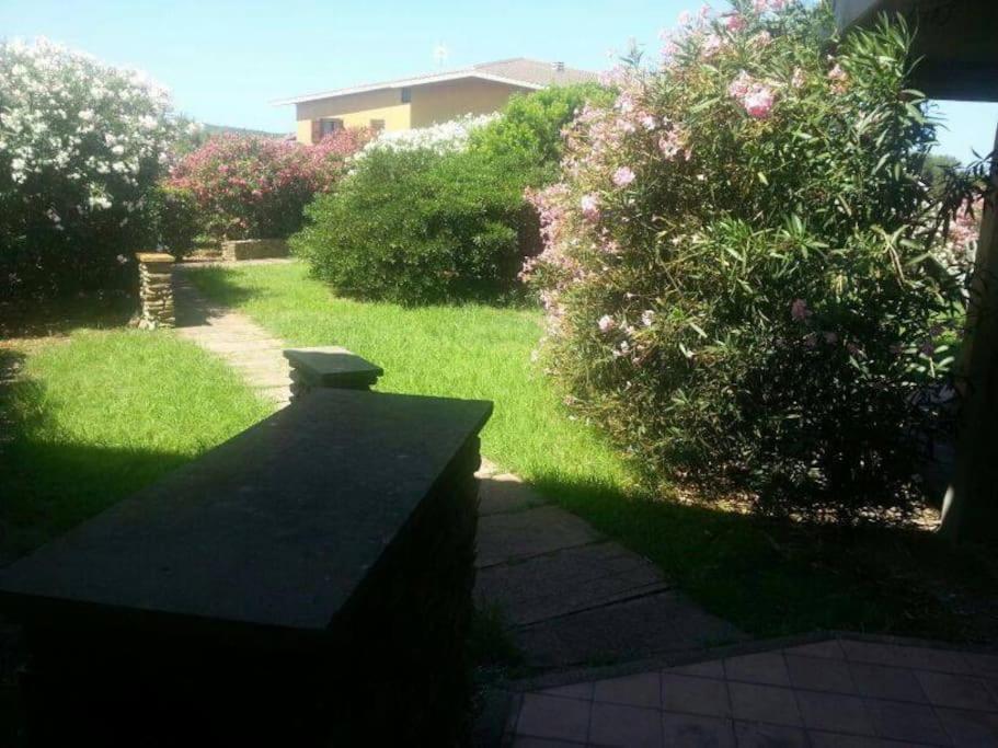 斯廷蒂诺L' Elicriso, A Pochi Passi Dal Mare Con Giardino Privato - The Elicriso, A Few Meters From The Sea, With Private Garden公寓 外观 照片