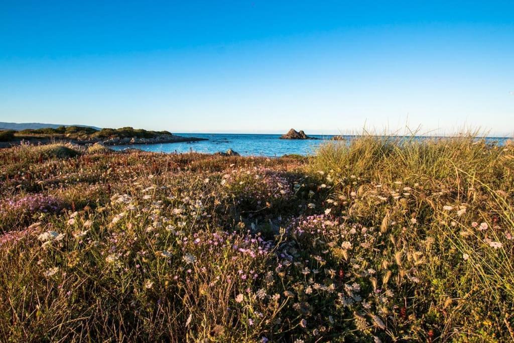 斯廷蒂诺L' Elicriso, A Pochi Passi Dal Mare Con Giardino Privato - The Elicriso, A Few Meters From The Sea, With Private Garden公寓 外观 照片