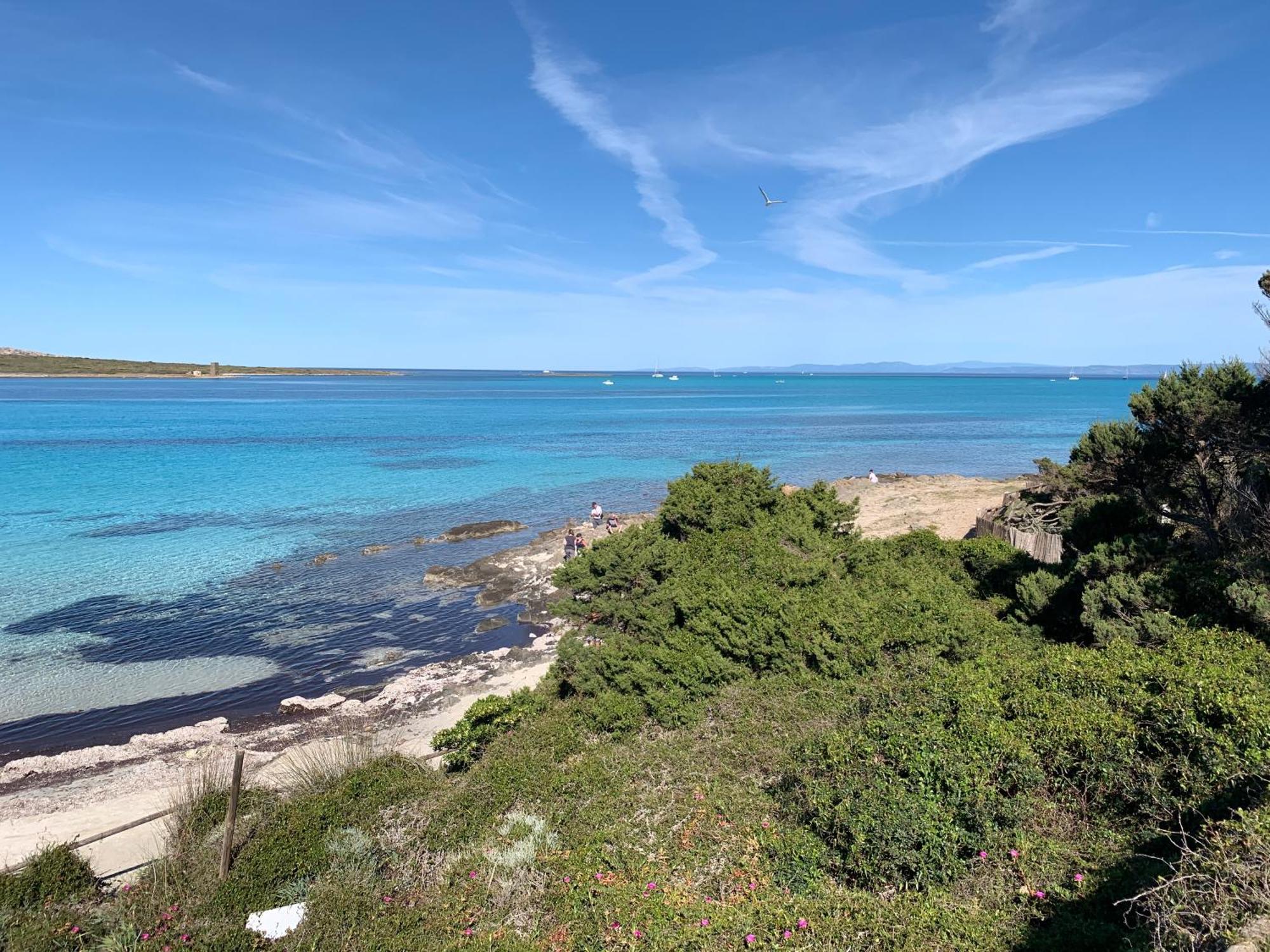 斯廷蒂诺L' Elicriso, A Pochi Passi Dal Mare Con Giardino Privato - The Elicriso, A Few Meters From The Sea, With Private Garden公寓 外观 照片