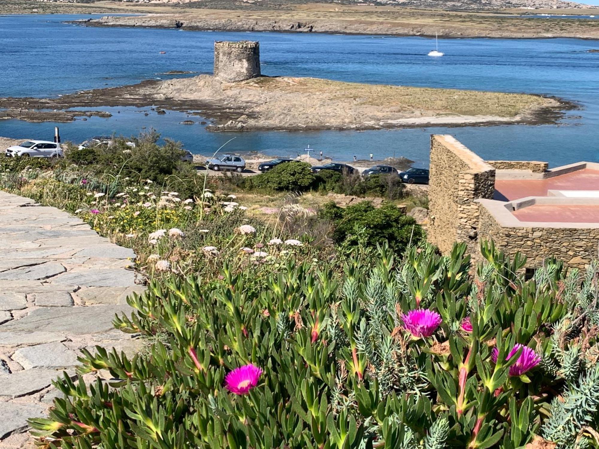 斯廷蒂诺L' Elicriso, A Pochi Passi Dal Mare Con Giardino Privato - The Elicriso, A Few Meters From The Sea, With Private Garden公寓 外观 照片