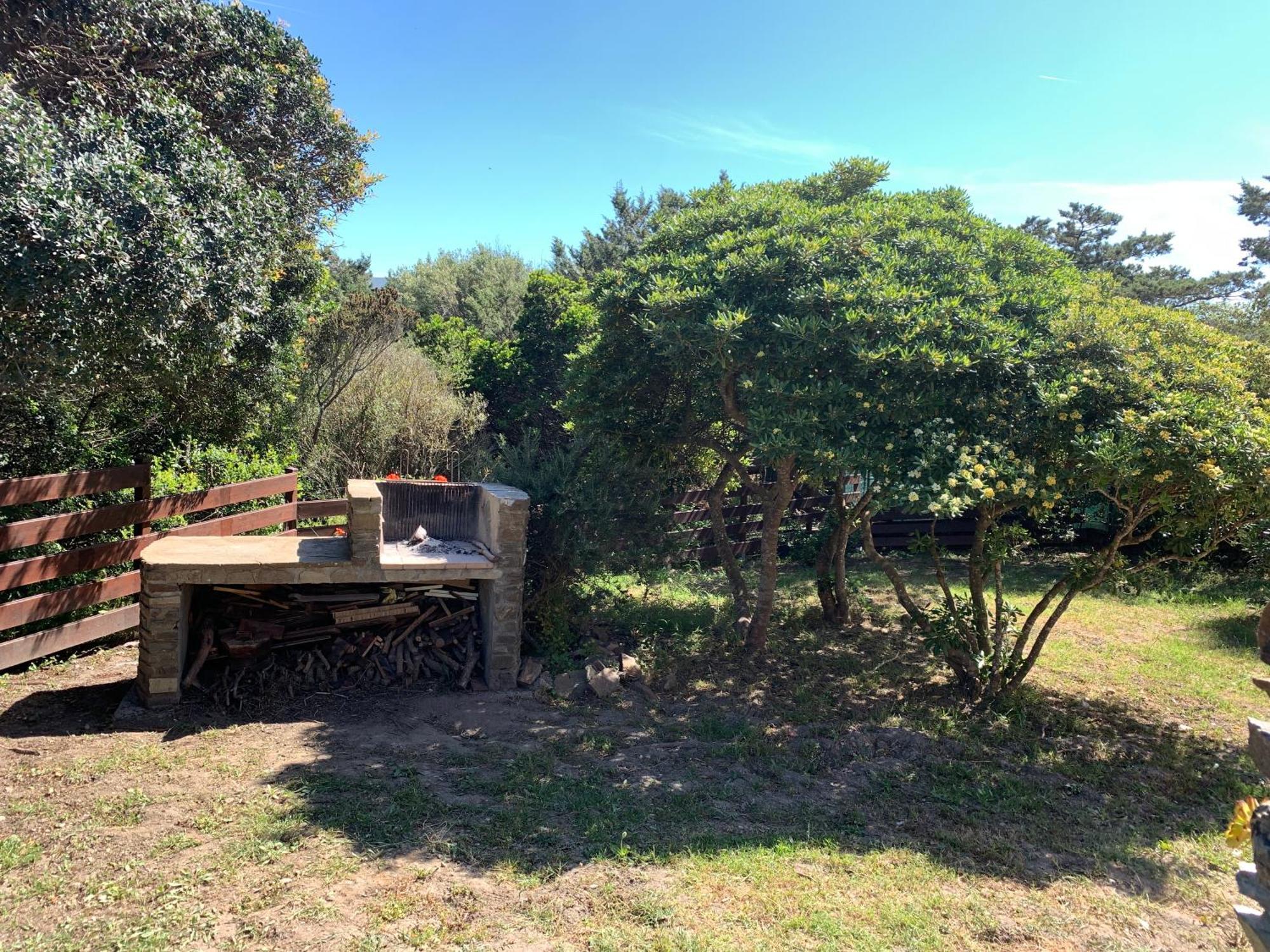 斯廷蒂诺L' Elicriso, A Pochi Passi Dal Mare Con Giardino Privato - The Elicriso, A Few Meters From The Sea, With Private Garden公寓 外观 照片